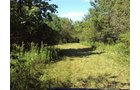 Property photo 7 - 75.5 Acres Offered in 5 Tracts